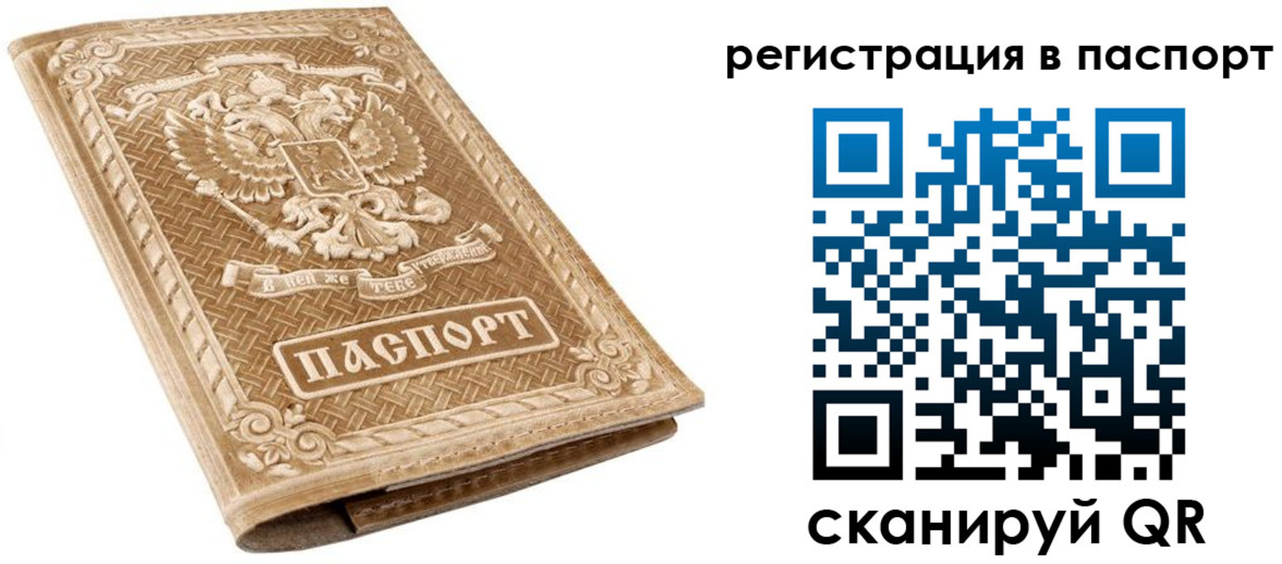 прописка в Борисоглебске
